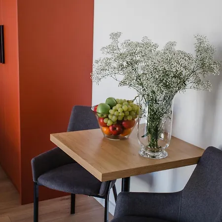 W&k Ginger - Faktura Vat, Parking W Garazu, Szybkie Wi-fi, Netflix Apartman *