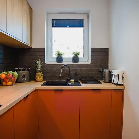 W&k Ginger - Faktura Vat, Parking W Garazu, Szybkie Wi-fi, Netflix * Koszalin