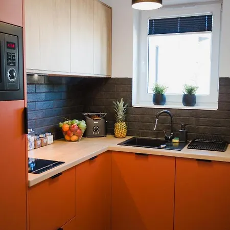 W&k Ginger - Faktura Vat, Parking W Garazu, Szybkie Wi-fi, Netflix *