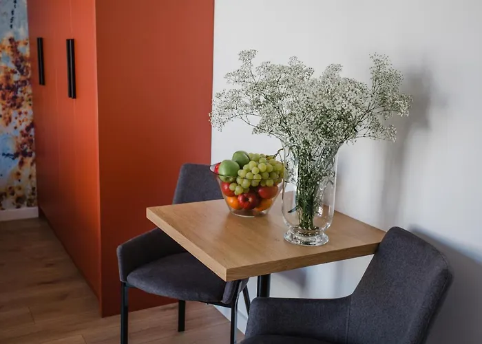 W&k Ginger - Faktura Vat, Parking W Garazu, Szybkie Wi-fi, Netflix Apartman *