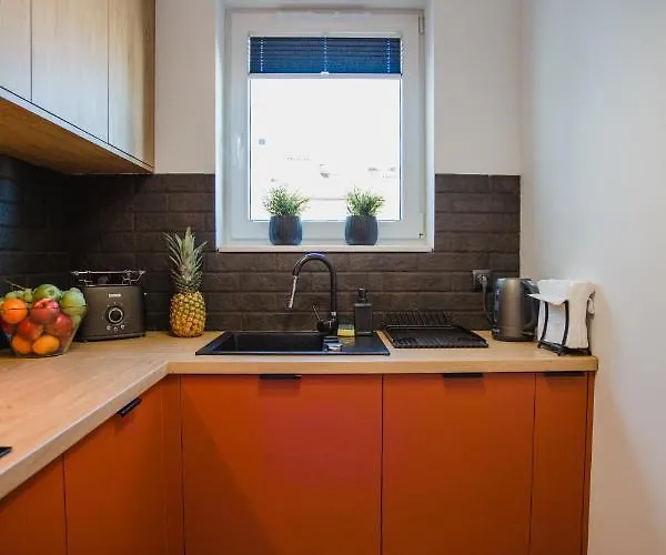 W&k Ginger - Faktura Vat, Parking W Garazu, Szybkie Wi-fi, Netflix * Koszalin